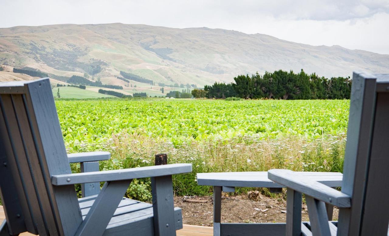 Honey Cottage In Ettrick Millers Flat エクステリア 写真